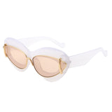 HS2190 - Oversize Chunky Fashion Irregular Cat Eye Wholesale Sunglasses