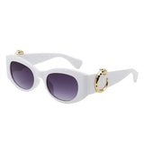 HS2182 - Chic Oval Leopard Design Fashion Wholesale Sunglasses