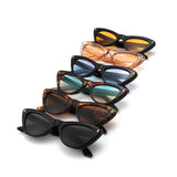 HS1350 - Women Fashion Retro Cat Eye Wholesale Sunglasses